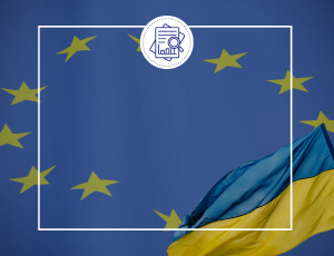 Democracy Insights articles