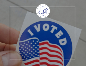 Democracy Insights articles
